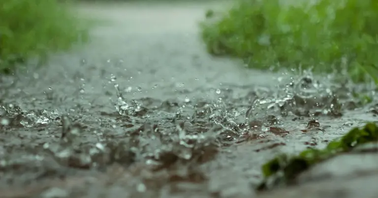 বৃষ্টির ছবি